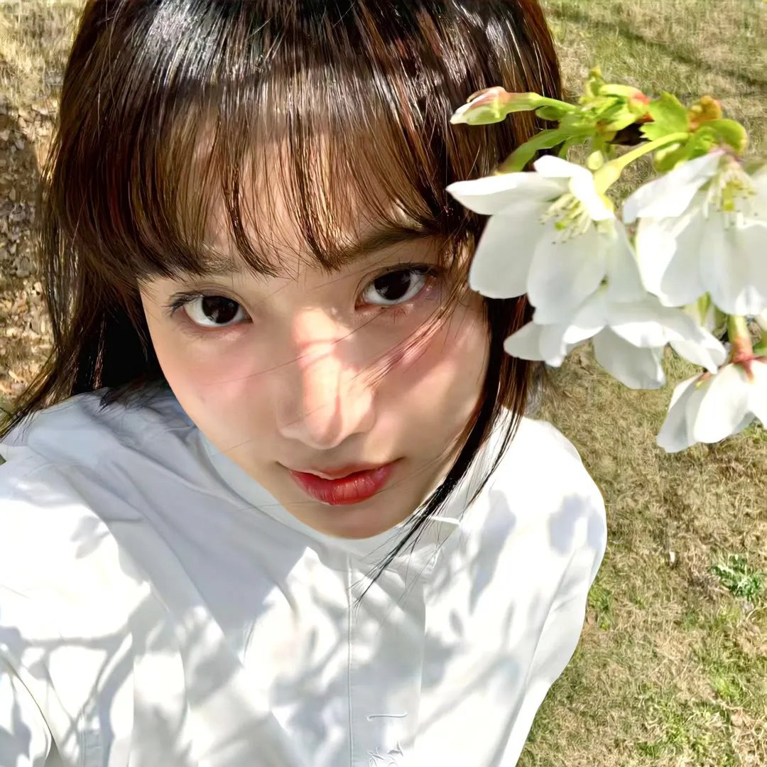 木府风云