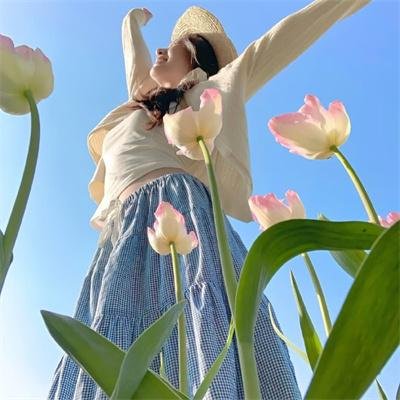 更上一层楼